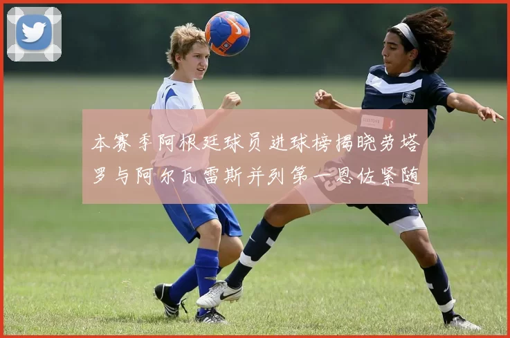 本赛季阿根廷球员进球榜揭晓劳塔罗与阿尔瓦雷斯并列第一恩佐紧随其后