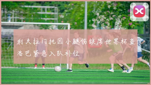利夫拉门托因小腿伤缺席世界杯查洛巴紧急入队补位